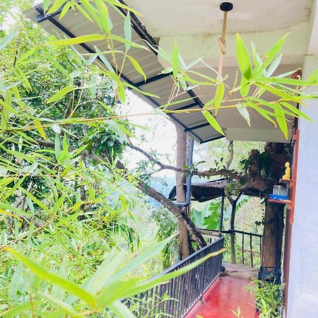 Pepper Garden Resort Ella Ngoại thất bức ảnh