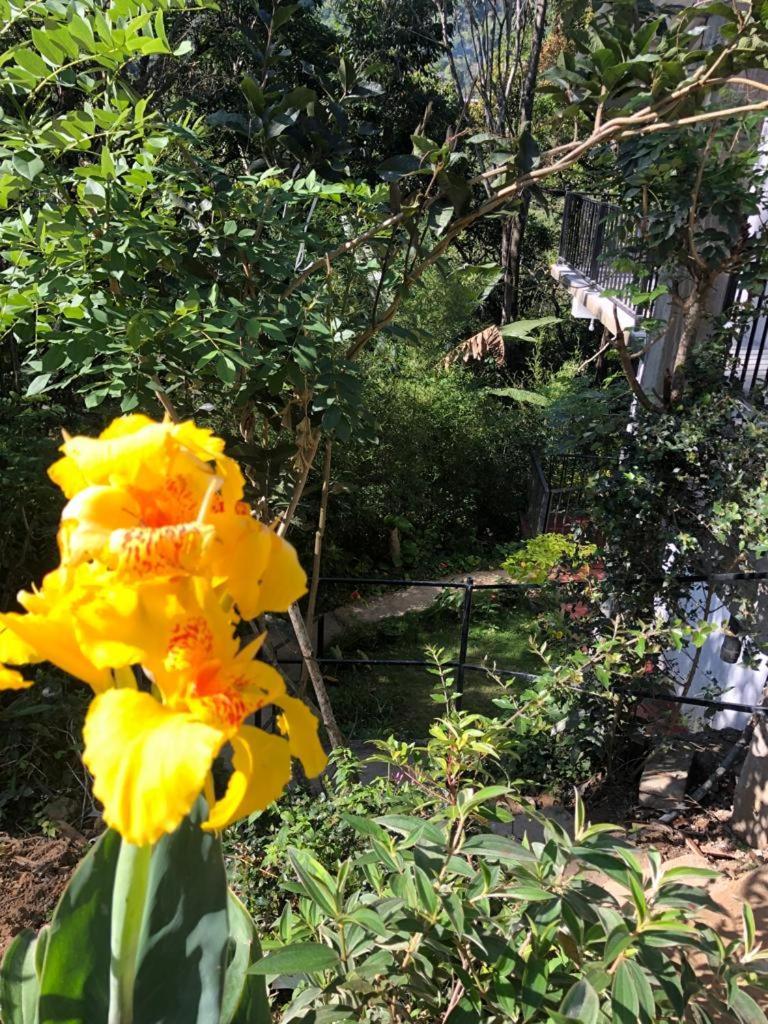 Pepper Garden Resort Ella Ngoại thất bức ảnh