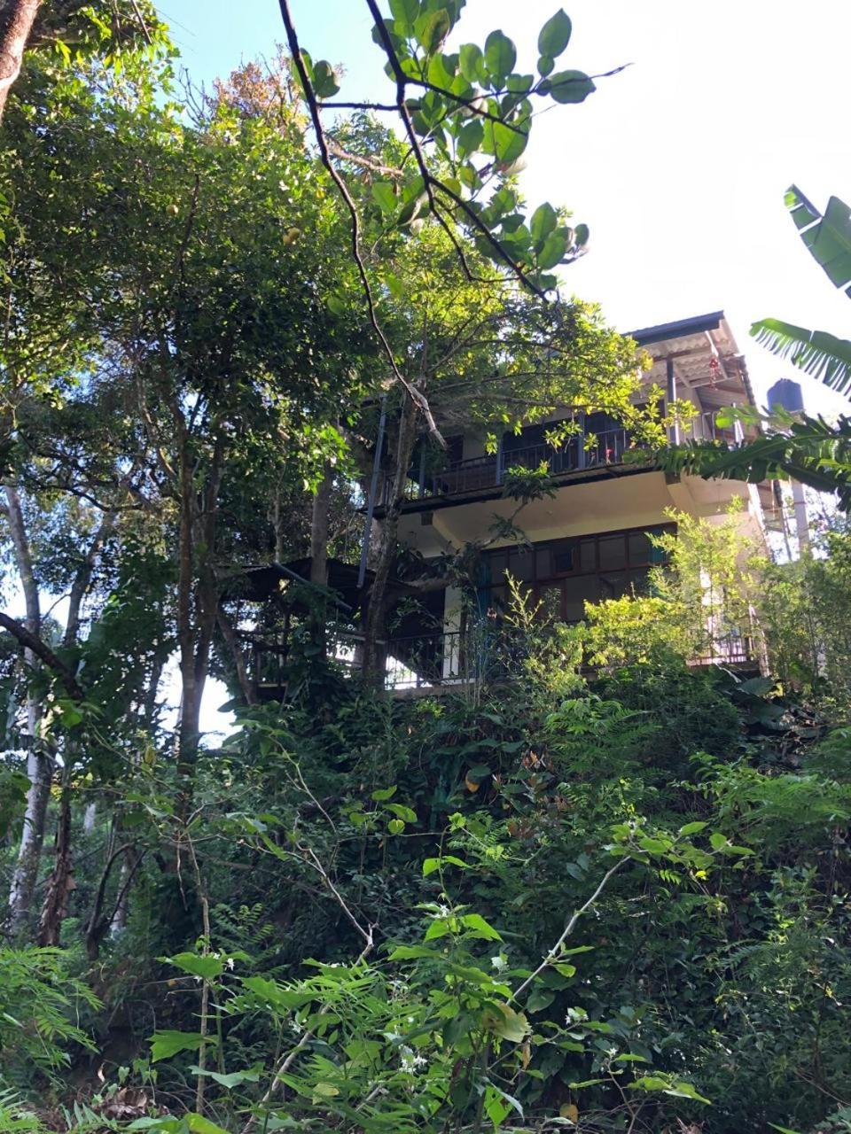 Pepper Garden Resort Ella Ngoại thất bức ảnh